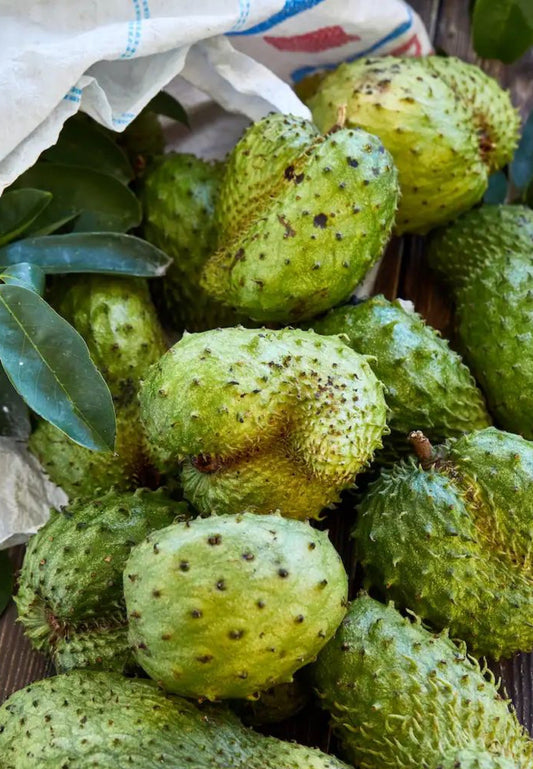 Soursop Sea Moss Gel