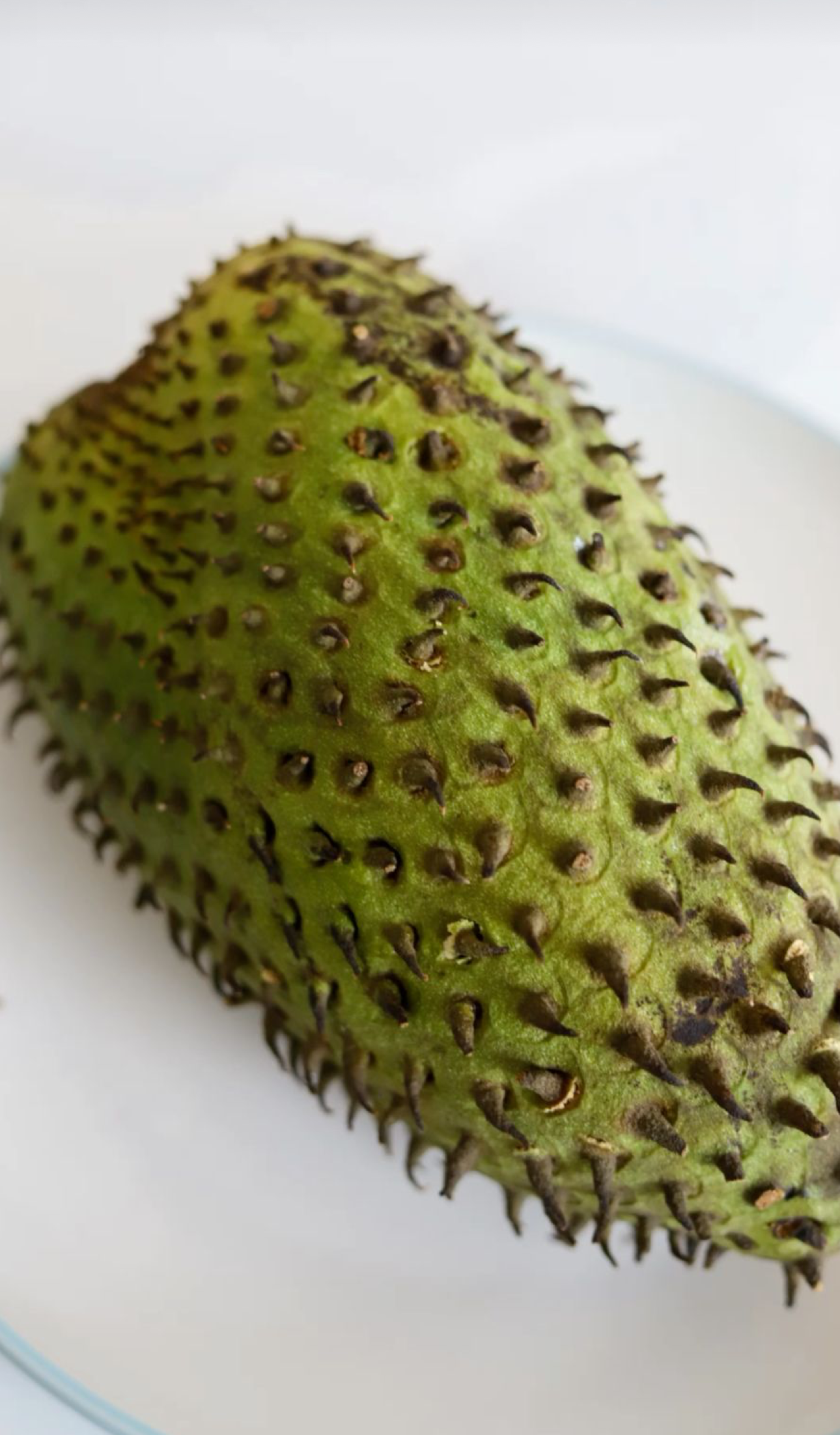 Soursop Sea Moss Gel