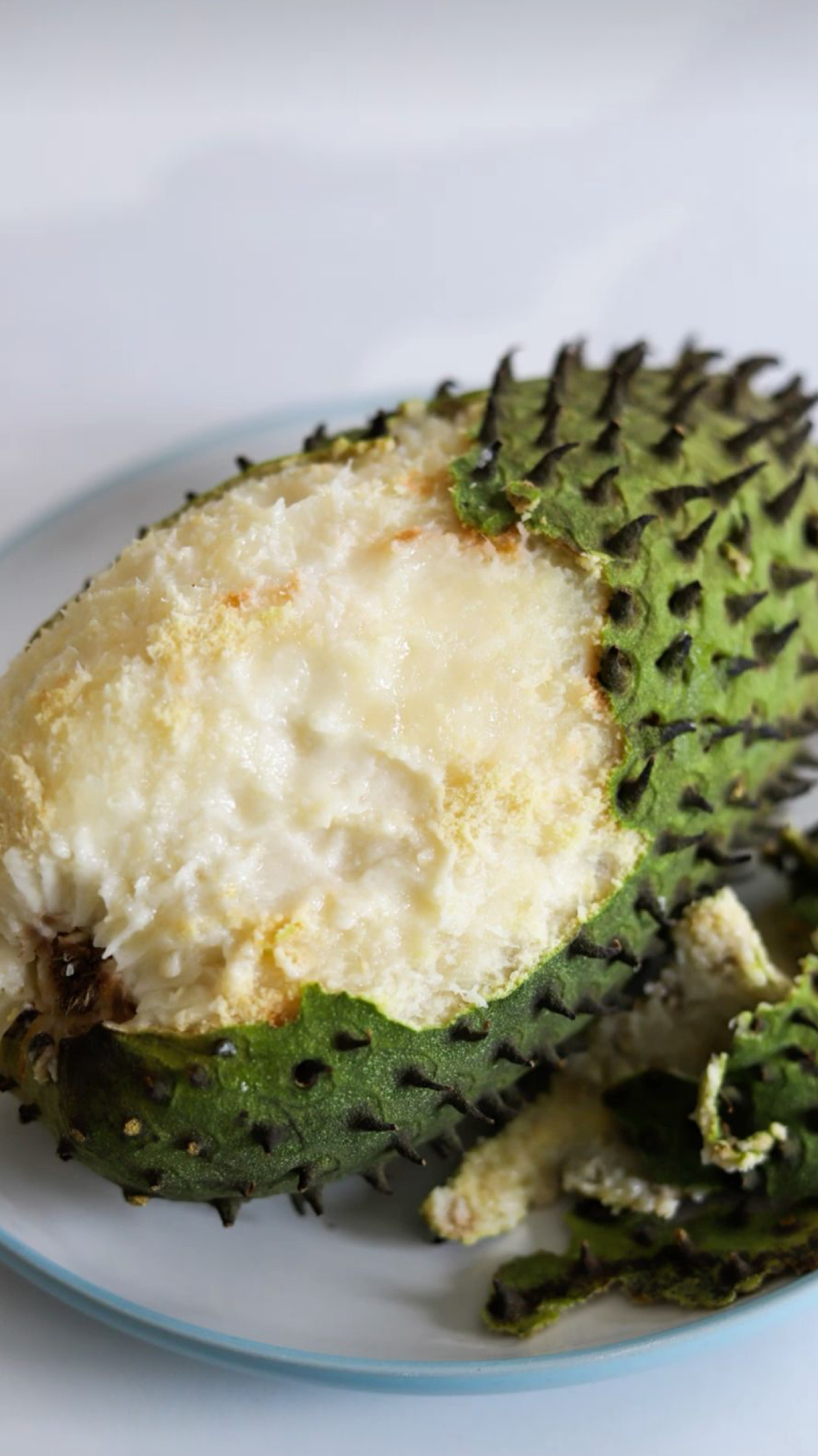 Soursop Sea Moss Gel